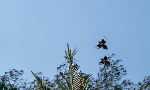 Wie kann man durch Achtsamkeitstraining Stress reduzieren?