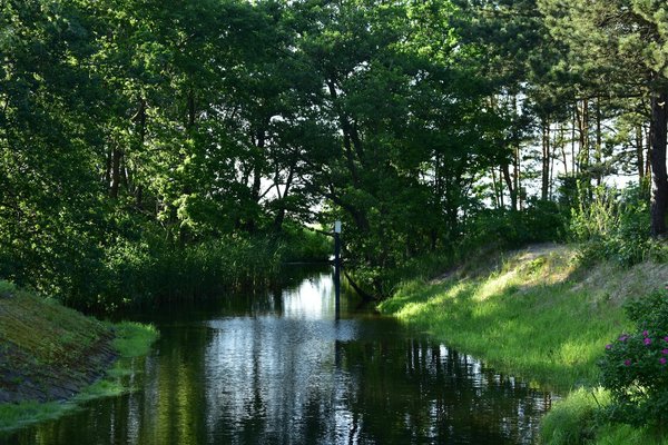 Welche VorsorgemaÃŸnahmen sind bei ErkÃ¤ltungen effektiv?